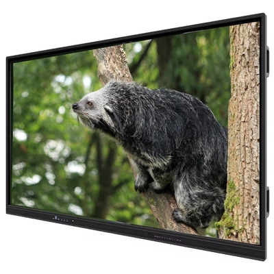 Nowy produkt 86-calowy interaktywny płaski panel tablicy dotykowej, cyfrowe wyświetlacze, inteligentna tablica do spotkań, konferencji, klasy