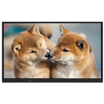 75-calowa interaktywna płaska płyta inteligentna z Androidem 15 i WiFi 6 dla szkół i biur