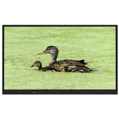 65-calowa interaktywna tablica multimedialna All In One z pamięcią 8+128 GB i dotykiem na podczerwień do nauczania i spotkań