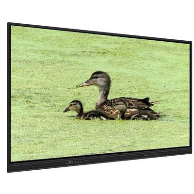 65-calowa interaktywna tablica multimedialna All In One z pamięcią 8+128 GB i dotykiem na podczerwień do nauczania i spotkań