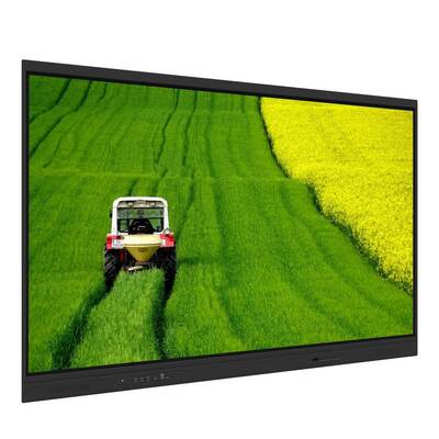 LCD Smart Board iBoard 75 Inch Android 8+128G USB Wifi Whiteboard Teaching Monitor