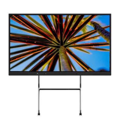 Iboard 75 Inch CE Interaktywny tabliczek nauczania Buy For Classroom Smart Boards