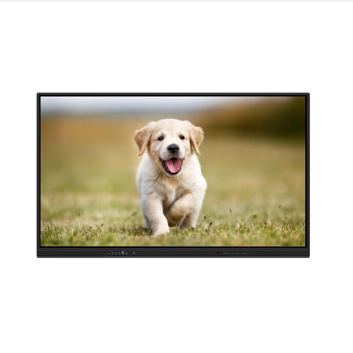 Interaktywny płaski panel 86-calowy ekran dotykowy do spotkań w klasie