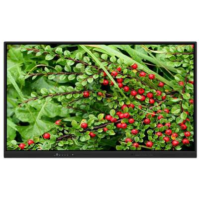 75-calowa tablica interaktywna z głośnikami do domowego nauczania