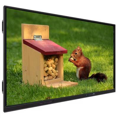 Interaktywny płaski panel z kompatybilnością z wieloma systemami operacyjnymi i dotknięciem piórem / palcem dla edukacji w rozmiarze 1705.8*1013.5*88.9MM